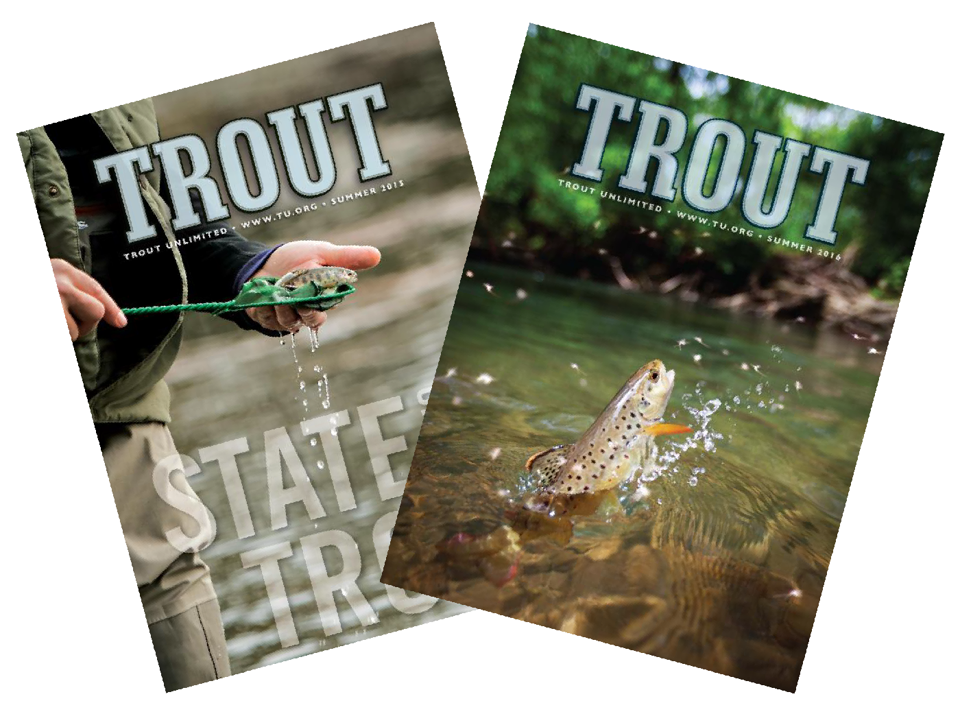 Trout Unlimited Magazine